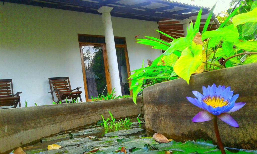River Retreat Sigiriya Exterior photo