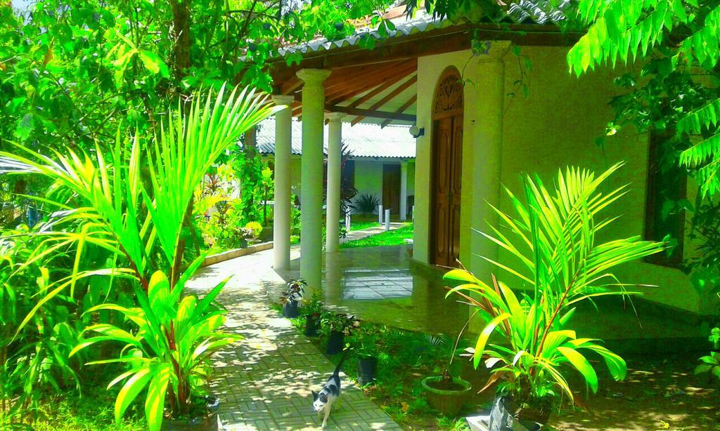 River Retreat Sigiriya Exterior photo